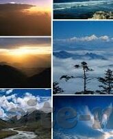 外围足球比分直播网-外围足球比分直播网，球迷的实时信息港湾与风险防范指南